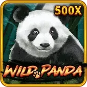 တောရိုင်းပန်ဒါ thumbnail